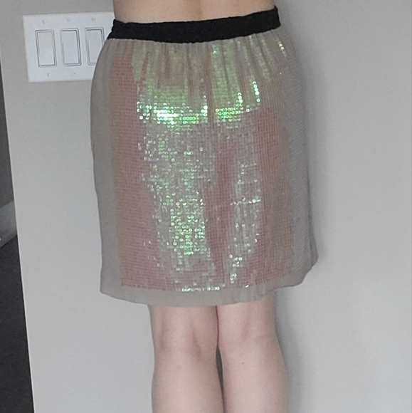 ๐ 2X HOST PICK ๐ BCBG MaxAzria Sequins Silk Skirt - Picture 5 of 15